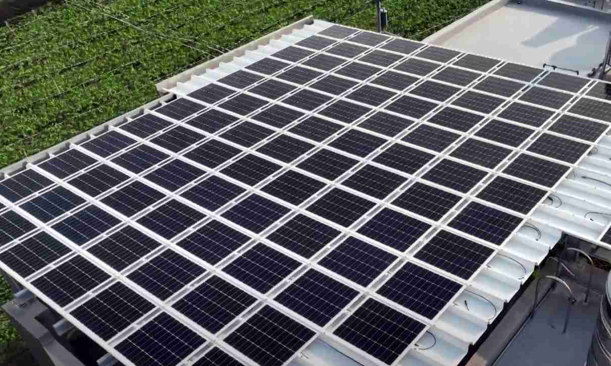 万利SunSteel光电浪板升级双玻结构，，以提升机械负载强度及气候耐候度，，，可广泛运用于多元场域