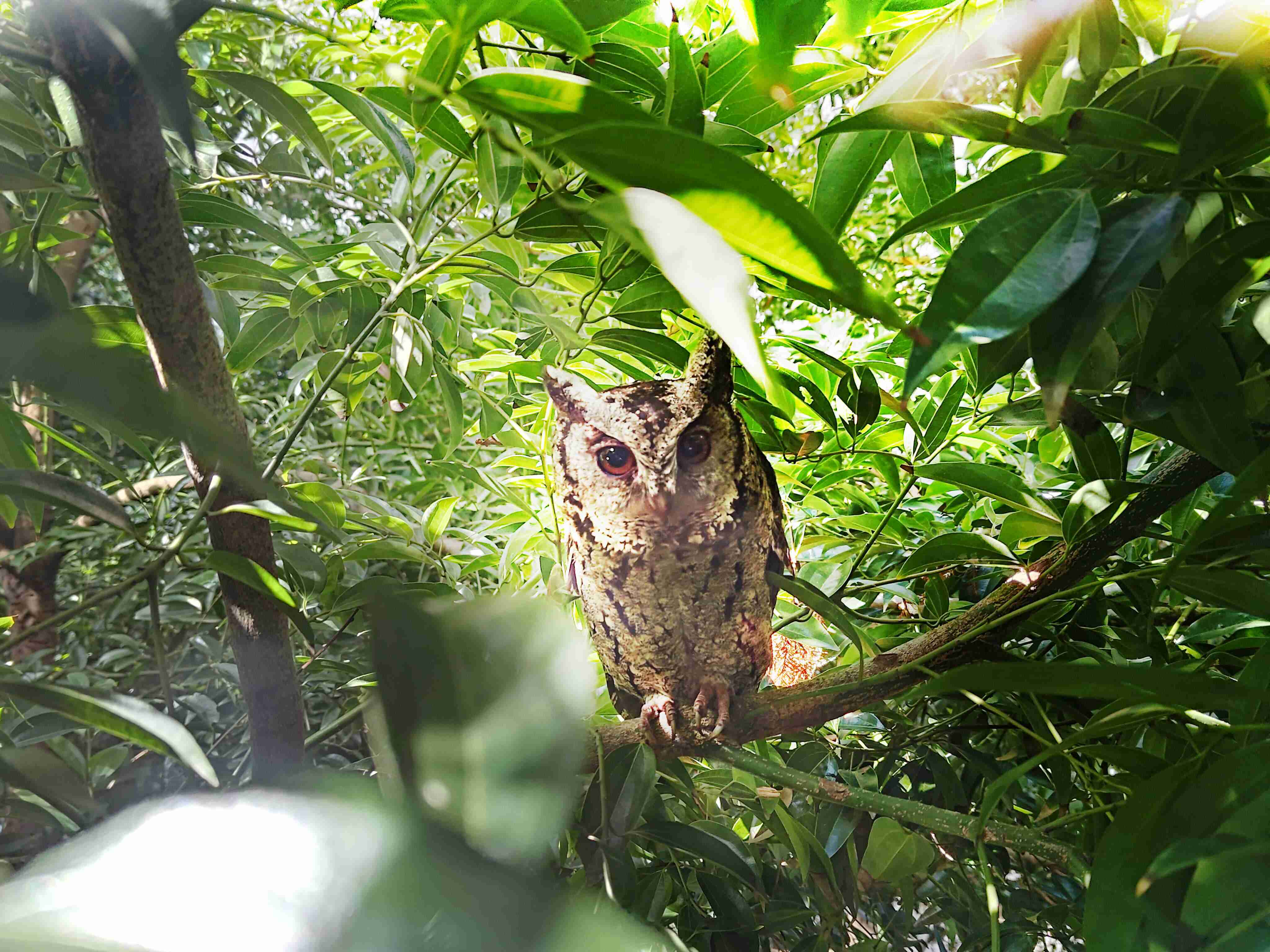 万利致力提倡净零绿生活，，16年以来在全球各厂区植树逾百万棵，，造就各厂区树木蔚然成林，，，，犹如森林工厂，，，成为许多生物的栖息地